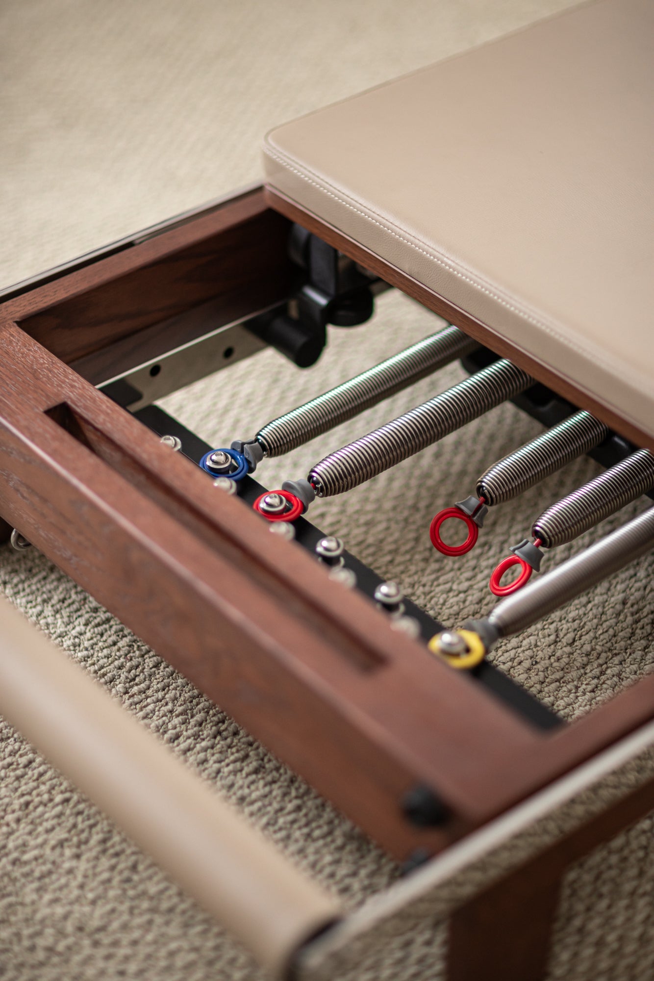 The Walnut Foldable